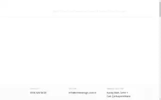 Smiledesign.com.tr Screenshot 2024-06-14 23:18:50