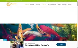 Hocakoi.vn Screenshot 2024-06-16 09:26:19