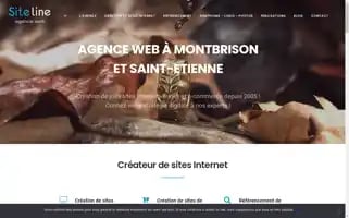 Siteline.fr Screenshot 2024-06-17 16:38:01