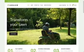 Amaaw.com Screenshot 2024-06-26 18:10:14