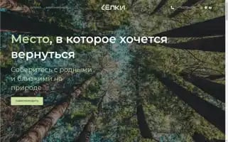 Elki72.ru Screenshot 2024-06-27 06:24:23