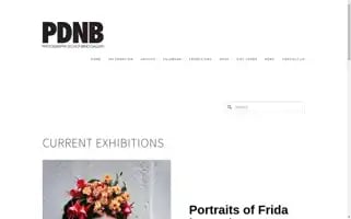 Pdnbgallery.com Screenshot 2024-06-30 15:02:14