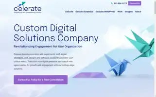 Gocelerate.com Screenshot 2024-07-01 07:37:20