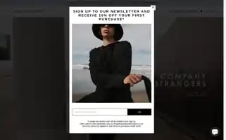 Companyofstrangers.co.nz Screenshot 2024-05-05 23:08:19
