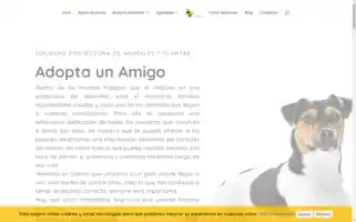Refugiokimba.org Screenshot 2024-06-26 11:14:03