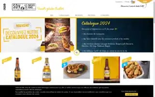 Sdvfrance.fr Screenshot 2024-07-03 06:27:19