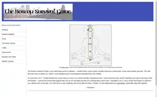Bostonsurvivalguide.net Screenshot 2024-05-08 20:52:24