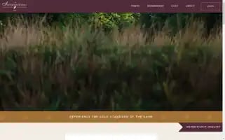 Theinternational.com Screenshot 2024-06-26 12:14:00