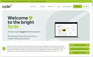 Syde.com Screenshot 2024-06-29 13:04:33