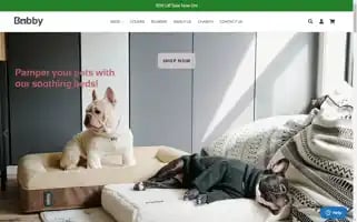 Bobbybed.com Screenshot 2024-05-05 20:22:40