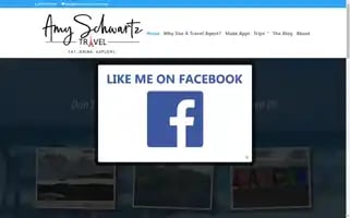 Amyschwartztravel.com Screenshot 2024-04-27 05:07:31