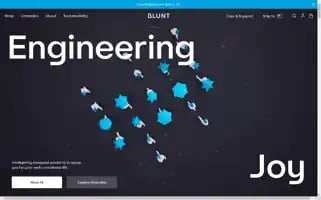 Bluntumbrella.com.au Screenshot 2024-05-05 20:33:31