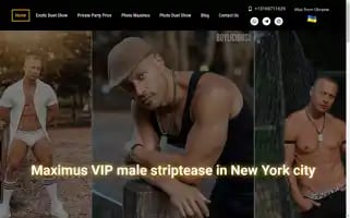 Vipmalestrippernyc.com Screenshot 2024-04-15 12:30:41
