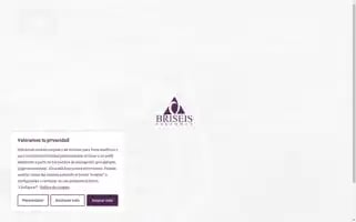 Briseis.com Screenshot 2024-07-01 19:52:55