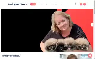 Pekesandmore.com Screenshot 2024-05-27 03:50:29