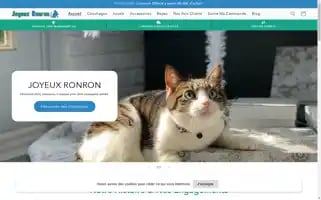 Joyeuxronron.com Screenshot 2024-05-03 16:54:17