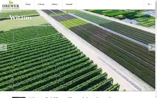 Drewek.pl Screenshot 2024-07-02 15:02:52
