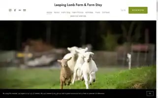 Leapinglambfarm.com Screenshot 2024-07-07 01:21:05