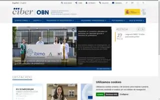 Ciberobn.es Screenshot 2024-06-16 01:25:41