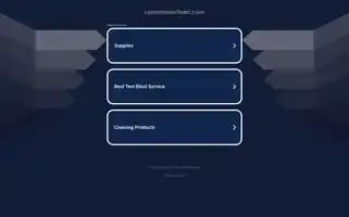 Carmenweclean.com Screenshot 2024-05-24 23:27:01