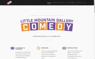 Littlemountaingallery.ca Screenshot 2024-06-11 11:11:47