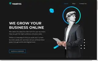Vasartes.com Screenshot 2024-07-02 07:39:19