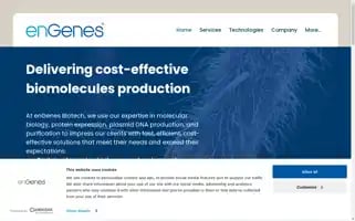 Engenes.cc Screenshot 2024-06-12 20:41:52