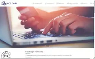 Goscorp.fr Screenshot 2024-07-06 08:27:19