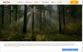 Ororapackagingsolutions.com Screenshot 2024-06-13 11:58:25