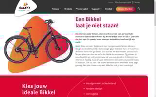 Bikkelbikes.com Screenshot 2024-06-15 01:02:24