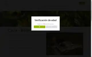 Sogasmascaro.com Screenshot 2024-07-01 18:28:47