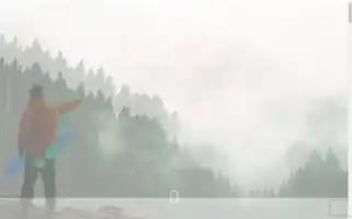 Lightforest.com.au Screenshot 2024-06-16 14:42:13