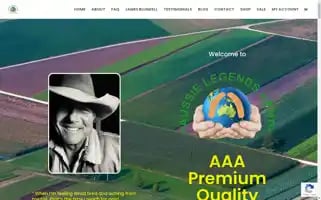 Aussielegendshemp.com Screenshot 2024-06-27 19:26:14