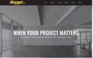 Theraynorgroup.com Screenshot 2024-07-03 11:26:40