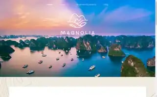 Magnoliatravel.vn Screenshot 2024-04-15 10:18:54