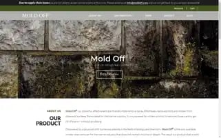 Moldoff.com Screenshot 2024-05-12 23:39:58
