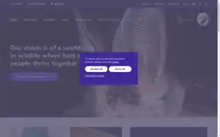Bats.org.uk Screenshot 2024-05-08 17:06:47