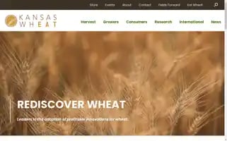Kswheat.com Screenshot 2024-07-02 18:43:24