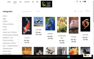Lionsartgallery.ch Screenshot 2024-05-26 10:21:50