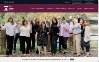 Mintsinsurance.com Screenshot 2024-06-14 23:37:56