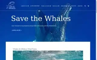 Savethewhales.org Screenshot 2024-06-30 10:50:56