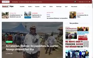 Panelsdafrique.com Screenshot 2024-05-28 02:33:34