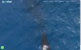 Boosterwater.in Screenshot 2024-05-22 10:56:11