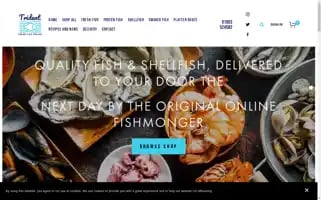Tridentfishsales.co.uk Screenshot 2024-05-16 22:18:43