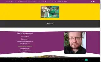 C-est-ouvert.fr Screenshot 2024-06-17 01:13:25