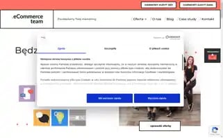 Ecommerceteam.pl Screenshot 2024-07-10 02:28:22