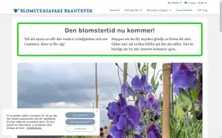 Blomstersafari.se Screenshot 2024-06-18 00:50:41