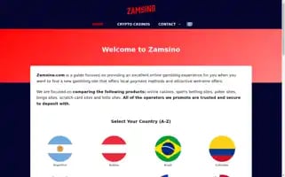 Zamsino.com Screenshot 2024-07-07 18:50:44