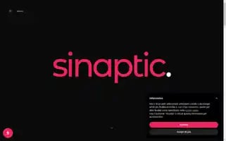 Sinaptic.it Screenshot 2024-06-17 00:44:37