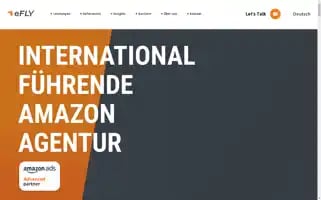 Efly-amz.com Screenshot 2024-06-19 01:05:45